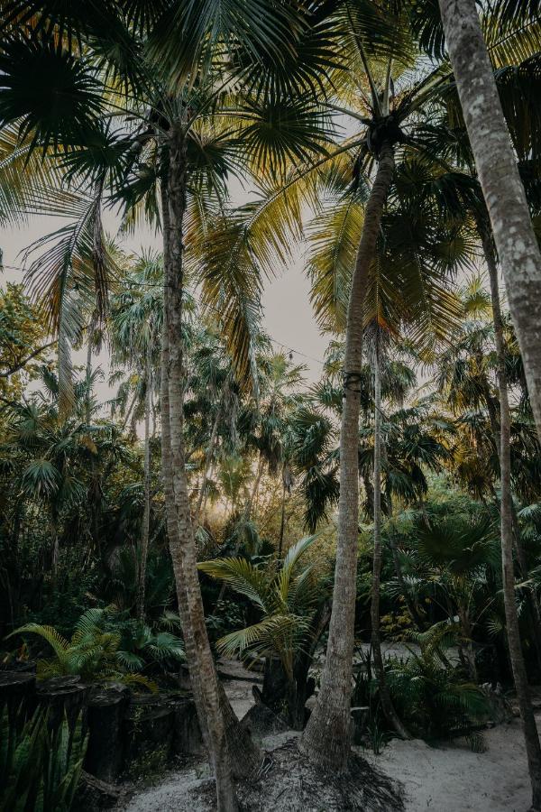 Ether Tulum Dış mekan fotoğraf