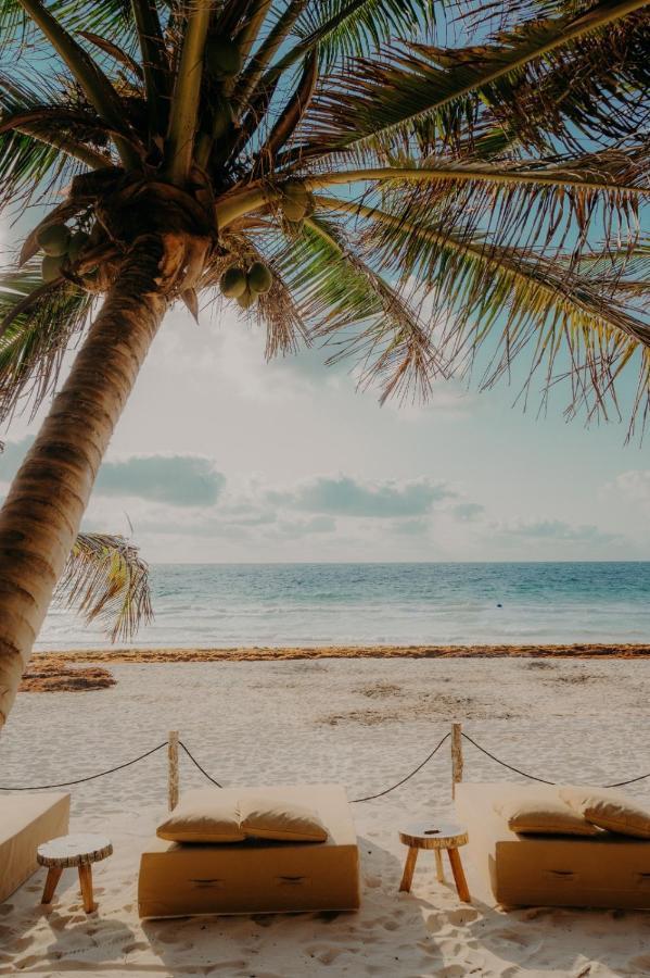 Ether Tulum Dış mekan fotoğraf